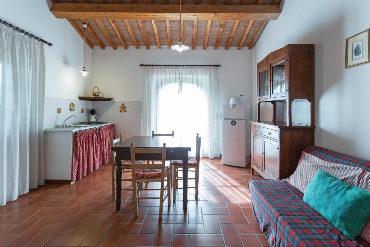 Cottage Il Gabbro Montescudaio Exteriör bild