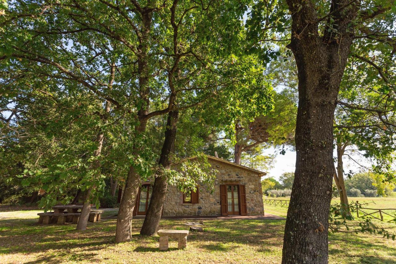 Cottage Il Gabbro Montescudaio Exteriör bild